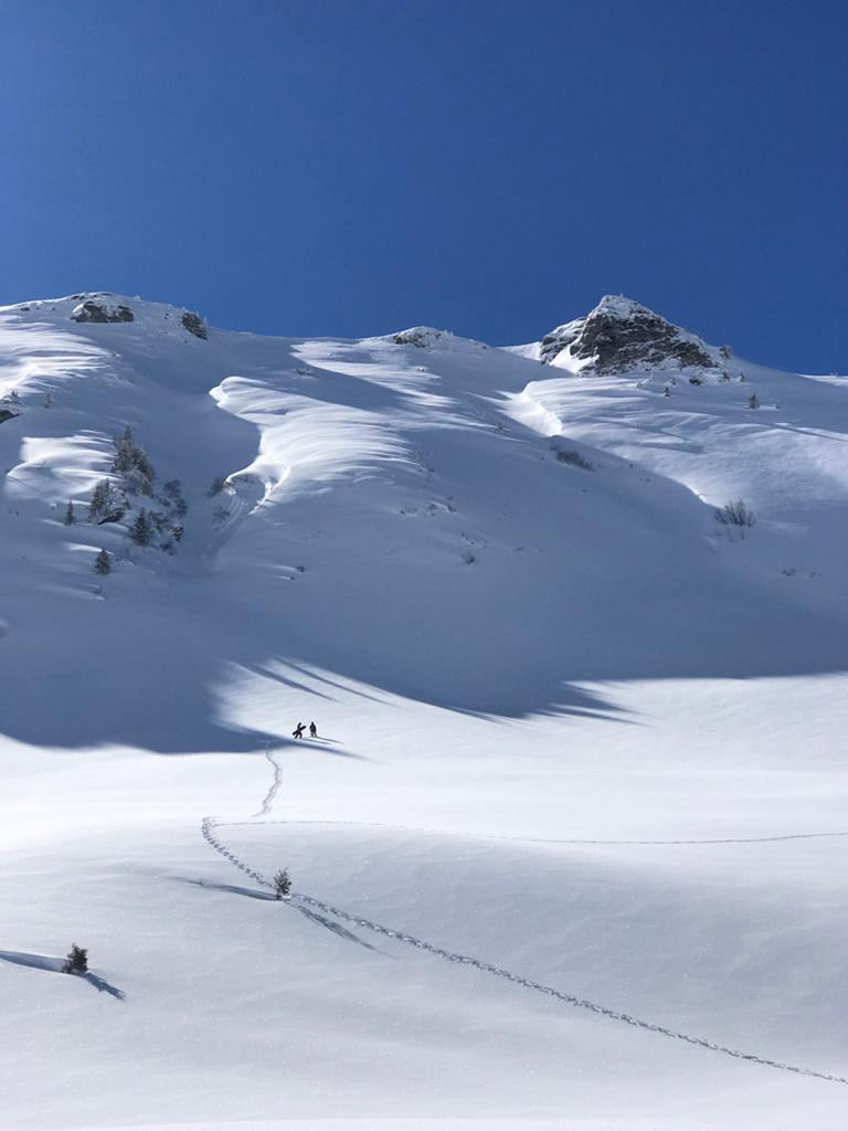 powdersurfing experience recap.