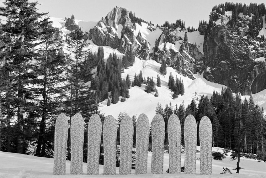 the all new COSA powsurfer debuts soon.